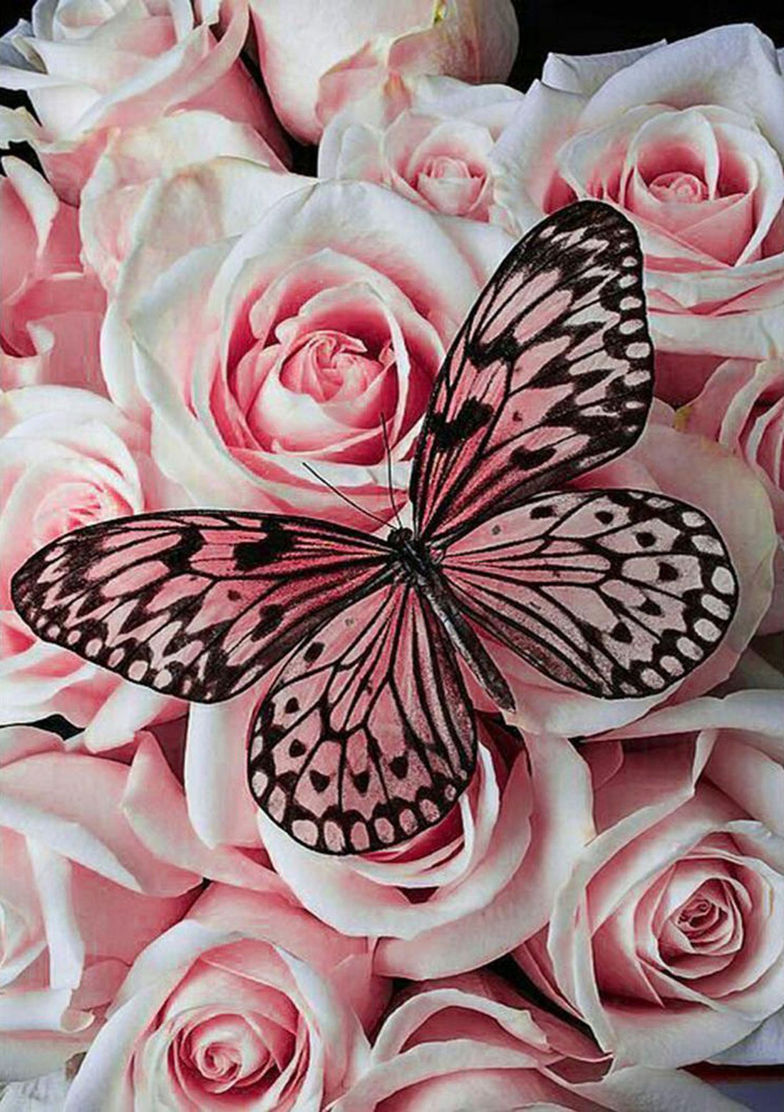 Rose Butterfly Cross Stitch Painting - Boho & Butterflys